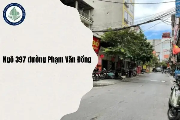 Khám Phá Ẩm Thực Quanh Ngõ 397 Phạm Văn Đồng, Phường Xuân Đỉnh