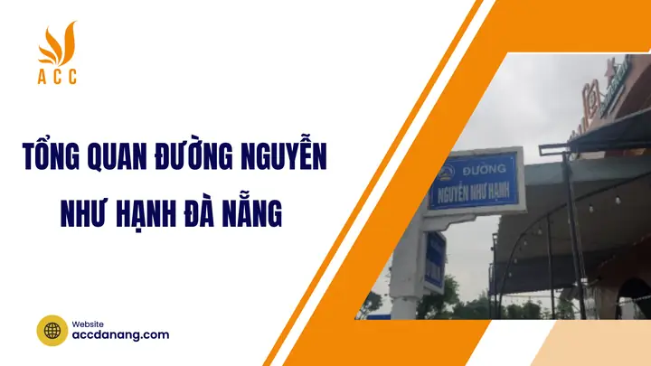 Đường Nguyễn Như Hạnh Đà Nẵng: Khám Phá Ẩm Thực Đường Phố Ngon Bất Ngờ