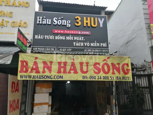 Nơi Bán Hàu Sữa Tphcm