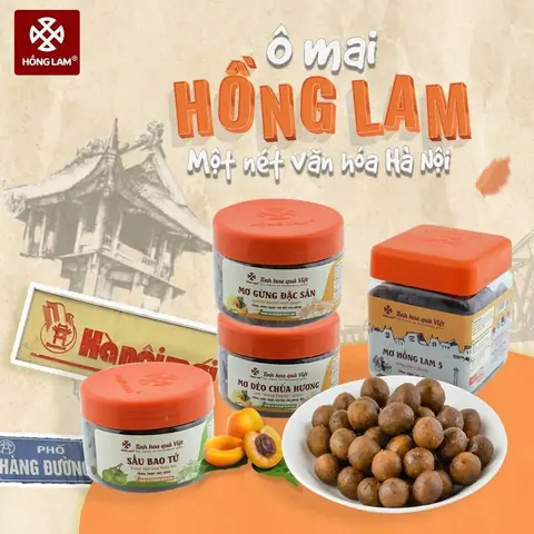 Ô Mai Hồng Lam Hà Nội