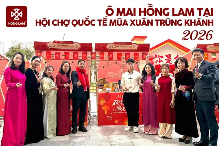 Ô Mai Hồng Lam Hải Phòng