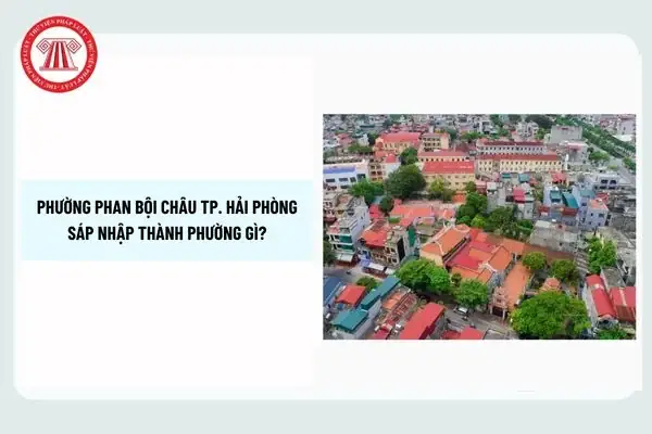 Phường Phan Bội Châu Hải Phòng: Khám Phá Ẩm Thực Đường Phố Đặc Sắc