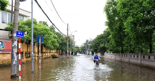 Phố Hoa Lâm Hà Nội: Khám Phá Thiên Đường Ẩm Thực Đường Phố Quanh Khu Vực