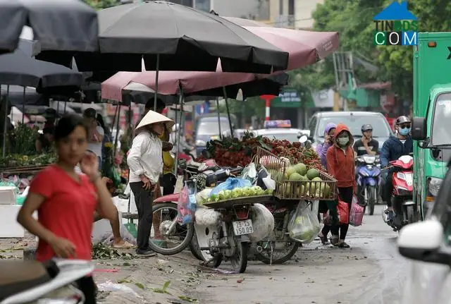 Khám Phá Ẩm Thực Phố Trần Bình: Điểm Hẹn Sôi Động Giữa Lòng Cầu Giấy