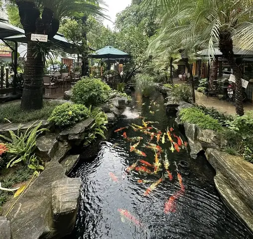 Quán Cafe Cá Koi Hải Phòng