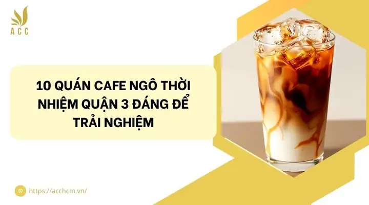 Review Quán Cafe Ngô Thời Nhiệm Quận 3: Đánh Giá Chi Tiết Từng Địa Điểm