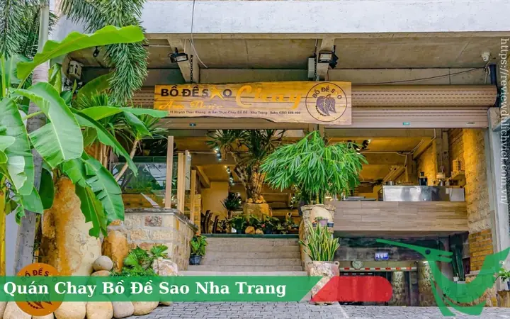 Review Quán Chay Bồ Đề Sao Nha Trang: Trải Nghiệm Ẩm Thực Thuần Chay Đậm Chất