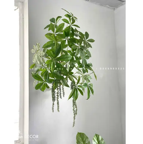 Quán Lộc Vừng Quận 8