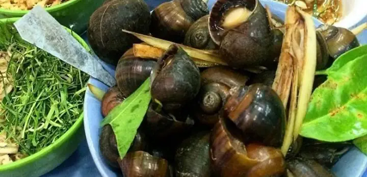 Quán Ốc Bãi Xe Tư Hằng