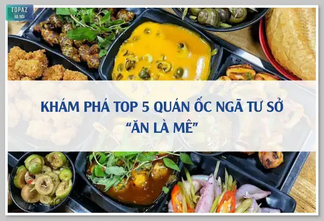 Đánh Giá Chi Tiết 5 Quán Ốc Ngã Tư Sở: Ngon, Bình Dân Và Đậm Đà