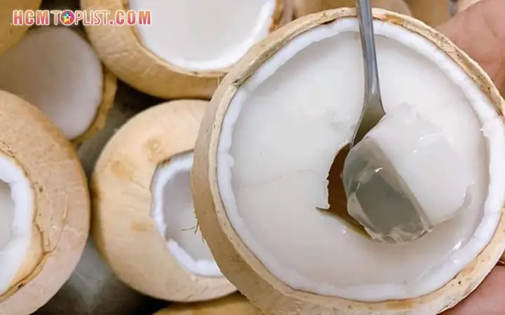 Rau Câu Trái Dừa Gần Đây