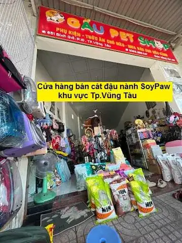 Shop Thú Cưng Vũng Tàu: Review Chi Tiết Gấu Pet Shop - Địa Chỉ Tin Cậy Cho Boss Cưng