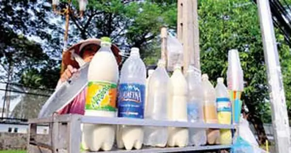 Sữa Đậu Nành Đóng Chai: Đánh Giá Toàn Diện Về An Toàn Và Cách Phân Biệt Thật Giả