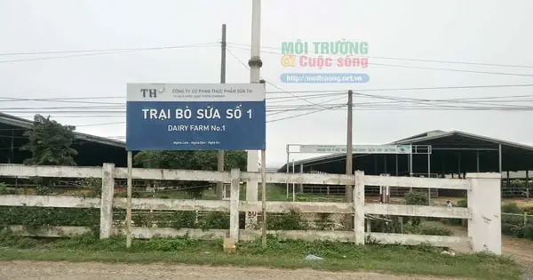 Review Sữa Tươi Th True Milk: Chất Lượng, Hương Vị & Ứng Dụng Nấu Nướng Thực Tế