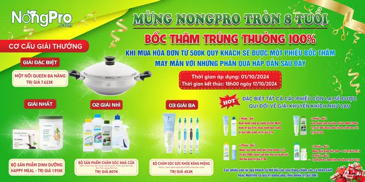 Thực Phẩm Sạch Đà Nẵng: Đánh Giá Chi Tiết Các Nguồn Cung Cấp Uy Tín
