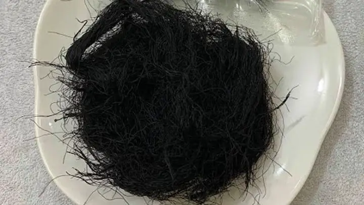 Tóc Tiên Nấu Súp Là Gì