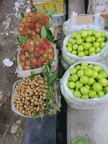 Trái Cây Miền Tây Giá Sỉ