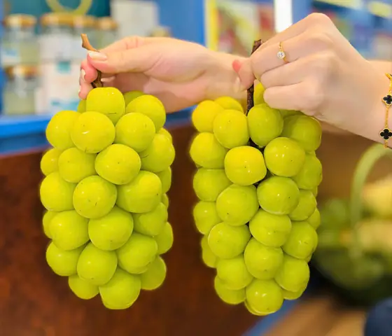 Trái Cây Nhập Khẩu Vũng Tàu