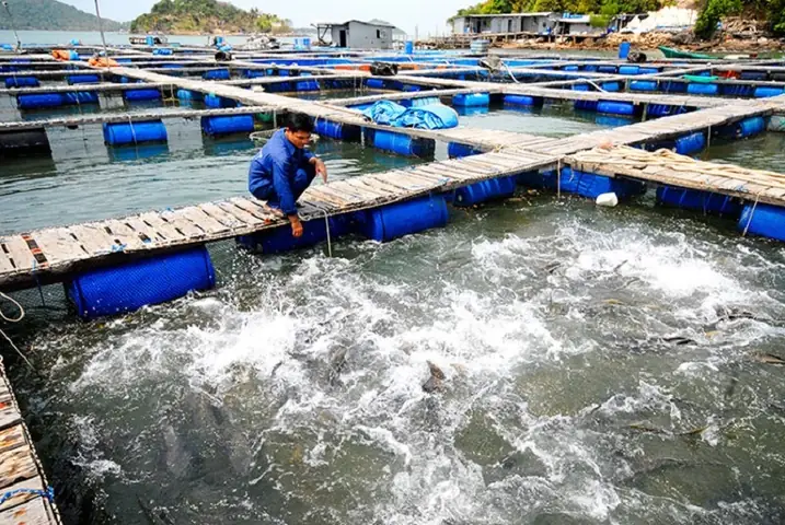 Việc Làm Rạch Giá Kiên Giang Việc Làm Rạch Giá Kiên Giang