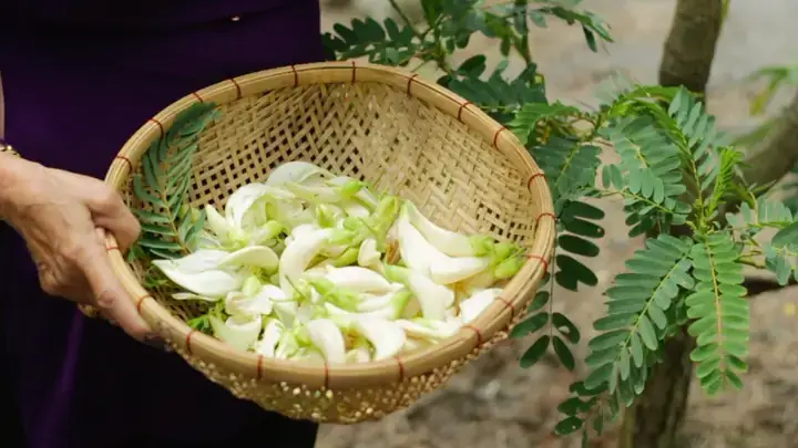 Ăn Bông So Đũa Có Tốt Không