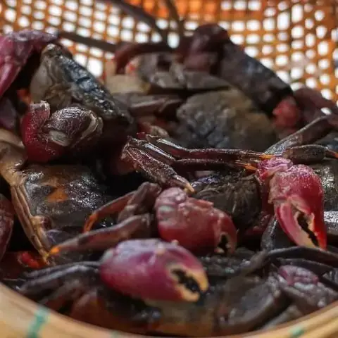 Bà Bầu Ăn Bà Khía Muối Được Không