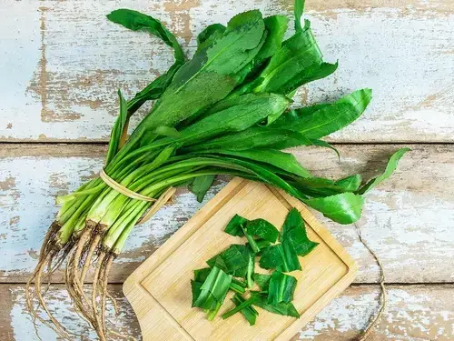 Bà Bầu Có Ăn Được Rau Ngò Gai Không