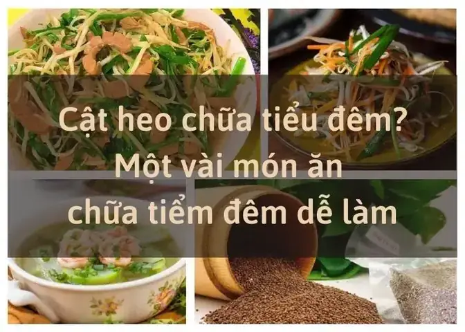 Bài Thuốc Từ Cật Heo