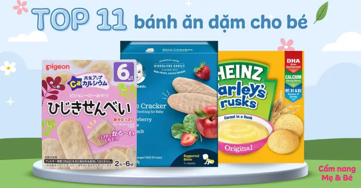 Bánh Ăn Dặm Cho Bé Loại Nào Tốt