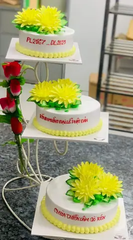 Bánh Kem 2 Tầng Rời Bánh Kem 2 Tầng Rời