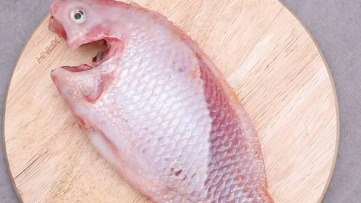 Bầu Ăn Cá Diêu Hồng Được Không