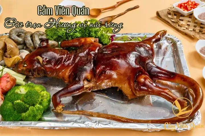 Bồ Câu Hầm Cách Thủy