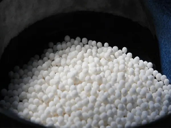 Bột Báng Miền Bắc Gọi Là Gì