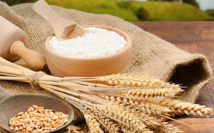 Bột Mì Làm Từ Cây Gì