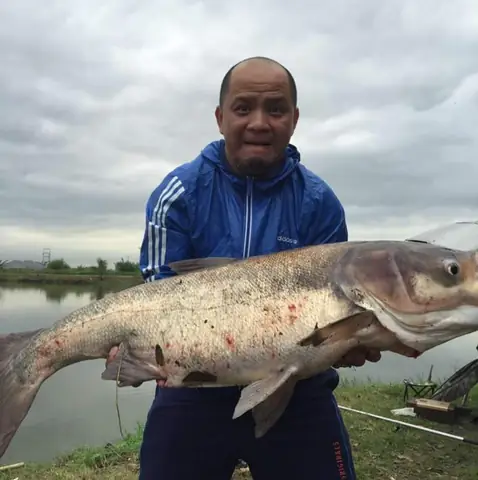 Cá Mè Trắng Hoa Nam