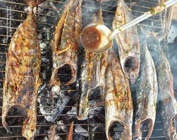 Cá Ồ Là Cá Gì