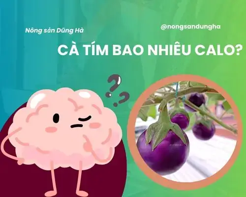 Cà Tím Nướng Mỡ Hành Bao Nhiêu Calo
