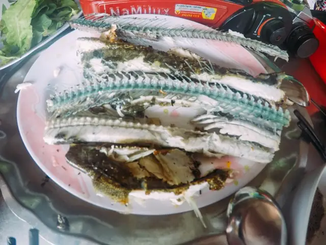 Cá Xương Xanh Là Cá Gì