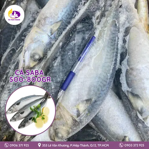 Các Loại Cá Biển Đông Lạnh