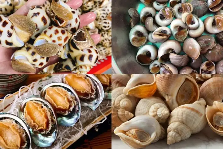 Các Loại Ốc Ăn Được