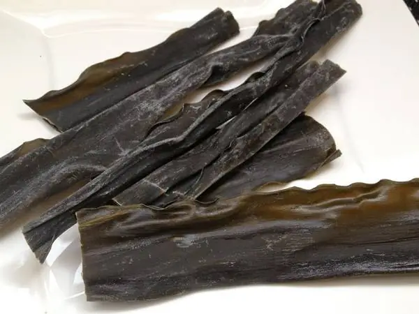 Các Loại Rong Biển Ăn Được