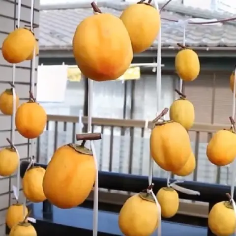 Cách Buộc Hồng Treo Gió