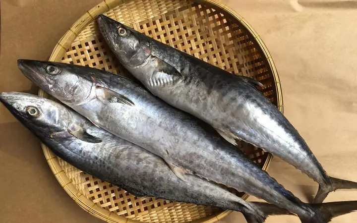 Cách Chế Biến Cá Thu Đông Lạnh