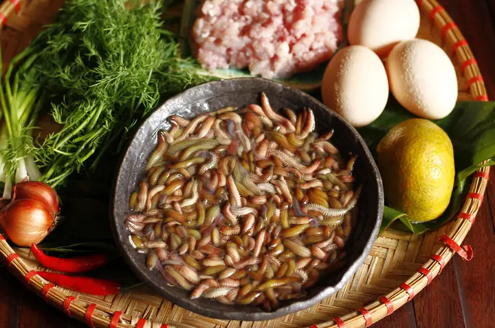 Cách Chế Biến Chả Rươi