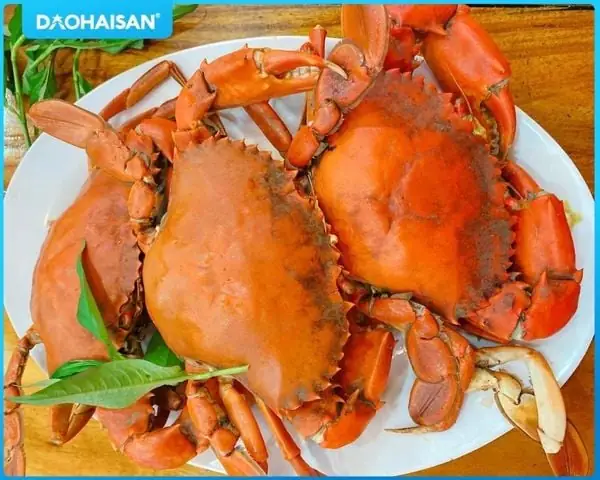 Cách Hấp Cua Cà Mau