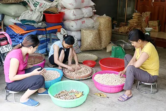 Cách Làm Bỏng Ngô Truyền Thống