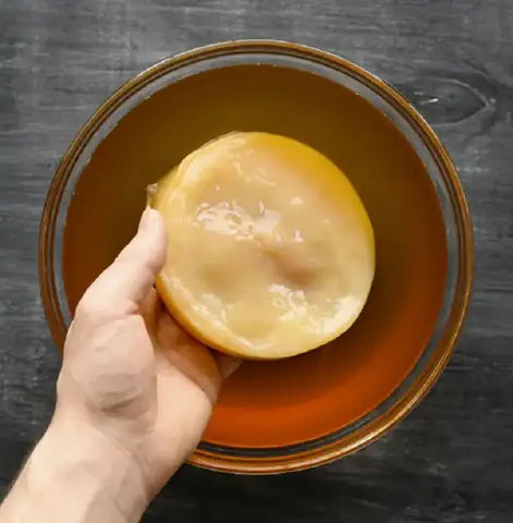 Cách Làm Con Giống Scoby