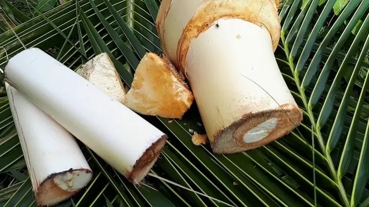 Cách Làm Củ Hũ Dừa