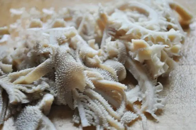 Cách Làm Gỏi Bao Tử Bò