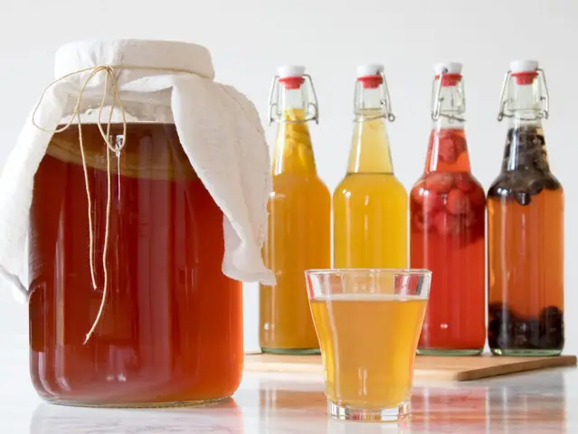 Cách Làm Kombucha Trái Cây