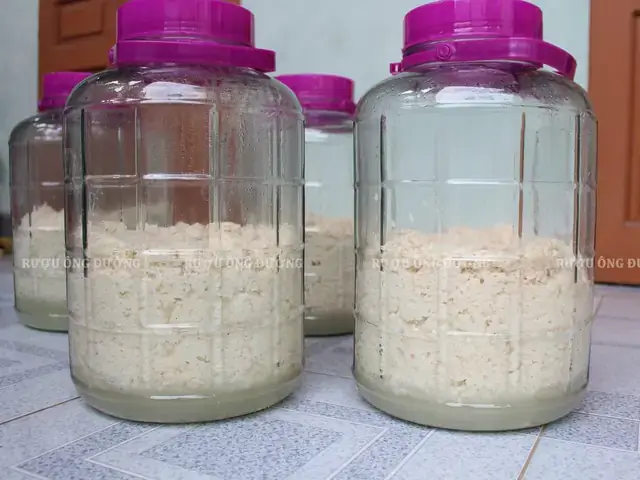 Cách Làm Rượu Nếp Vắt